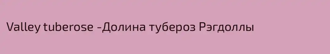 Valley tuberose -Долина тубероз Рэгдоллы